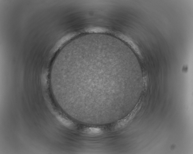 X0000116760159201001281619