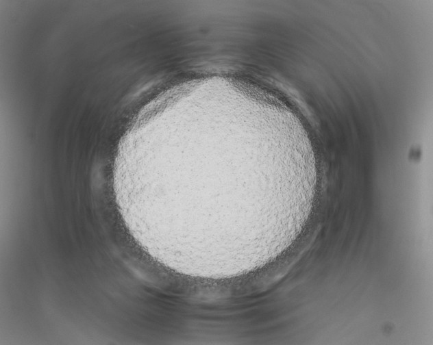 X0000116760161201001281619