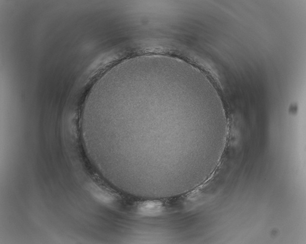 X0000116760162201001281619