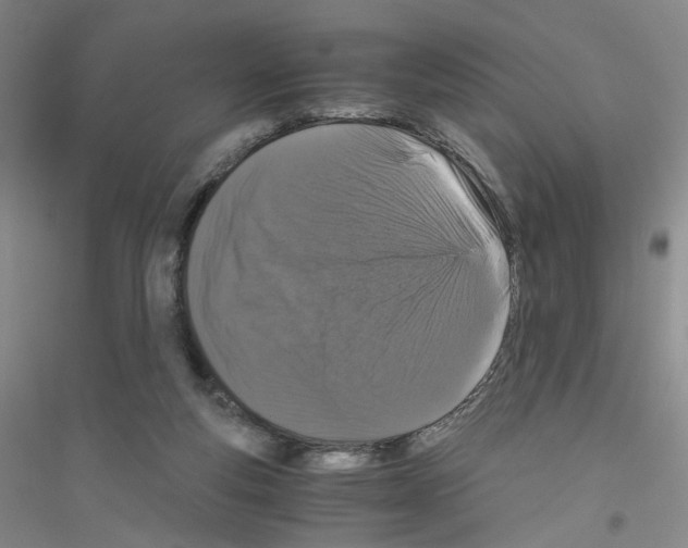 X0000116760163201001281619