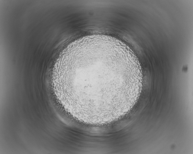 X0000116760165201001281619