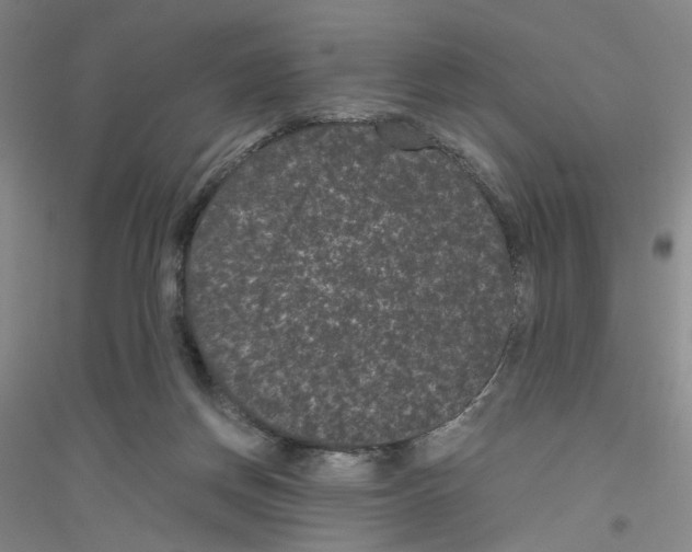 X0000116760166201001281619