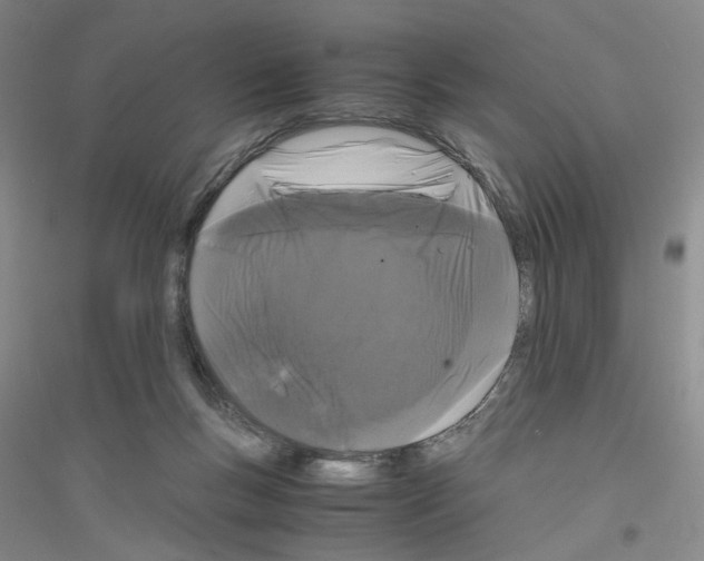 X0000116760167201001281619