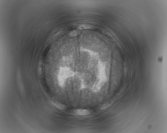 X0000116760169201001281619