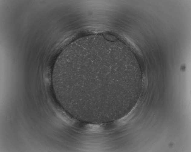 X0000116760170201001281619