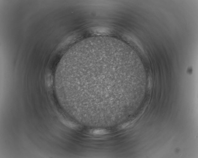 X0000116760173201001281619