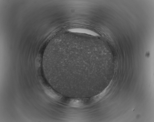 X0000116760174201001281619