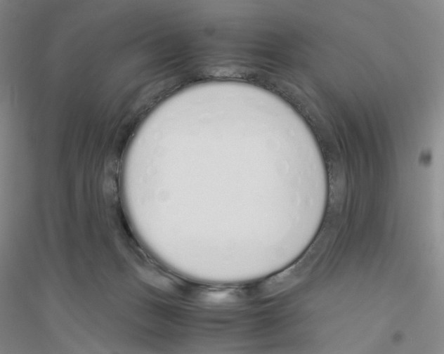 X0000116760175201001281619