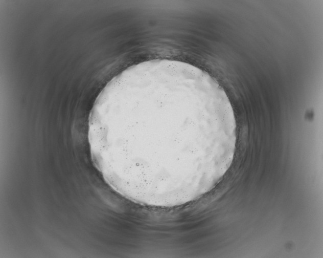 X0000116760177201001281619