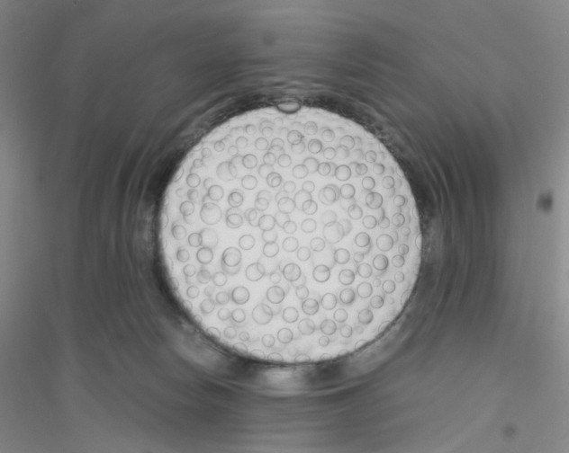 X0000116760178201001281619