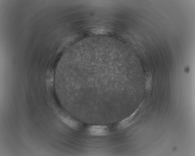 X0000116760179201001281619