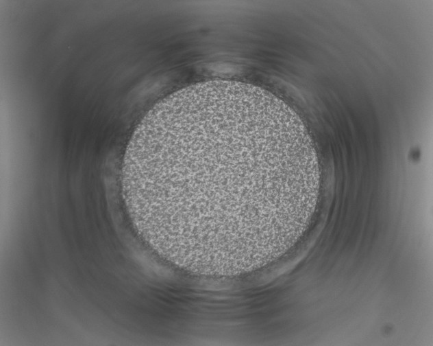 X0000116760181201001281619