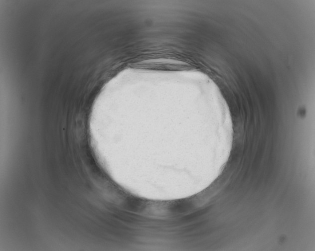 X0000116760182201001281619