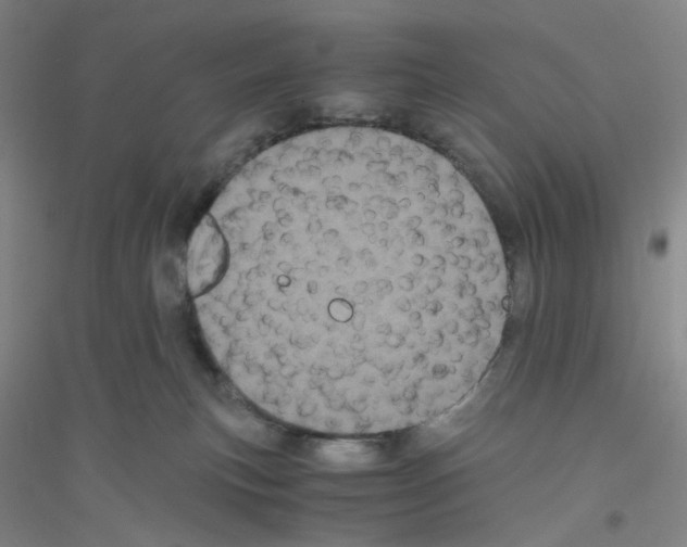 X0000116760183201001281619