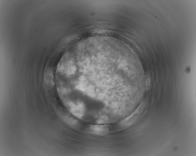 X0000116760187201001281619