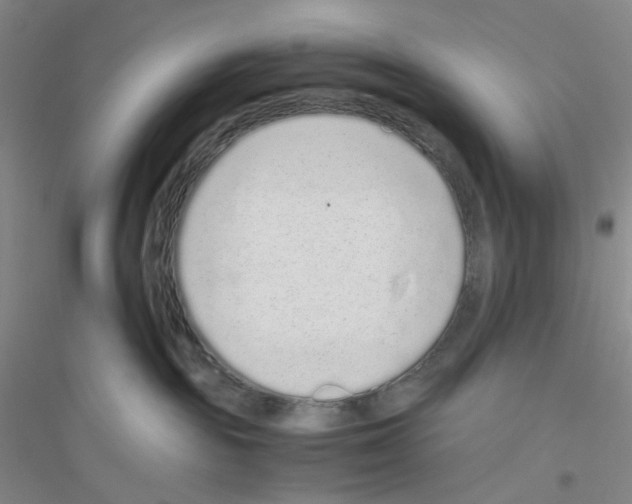 X0000116760189201001281619