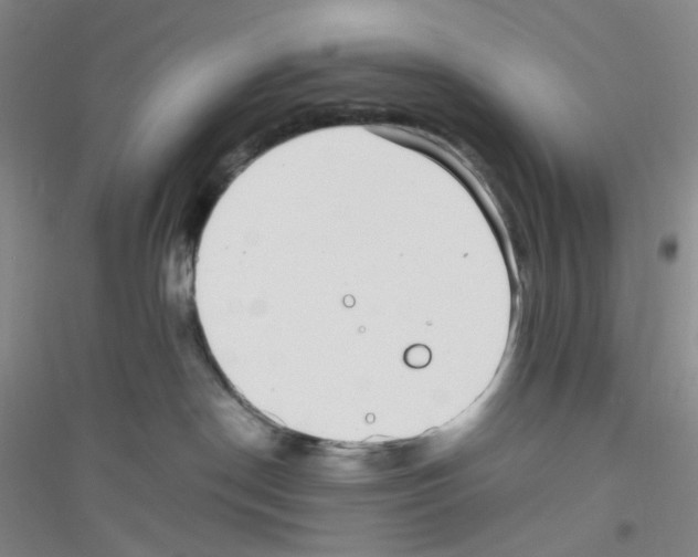 X0000116760190201001281619