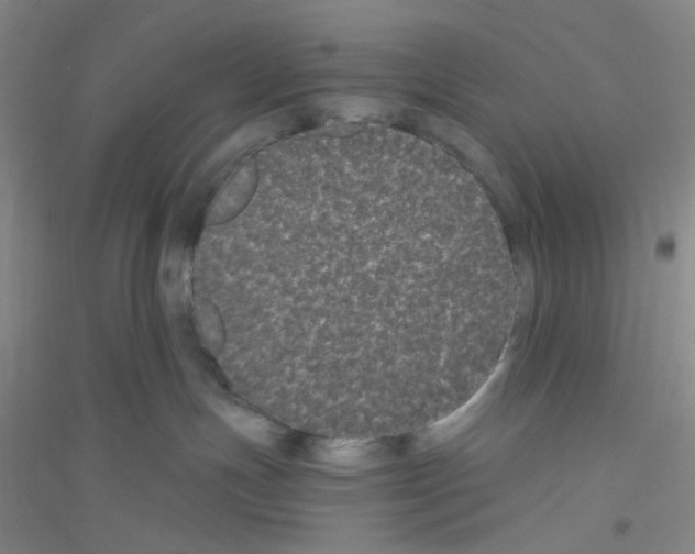 X0000116760191201001281619