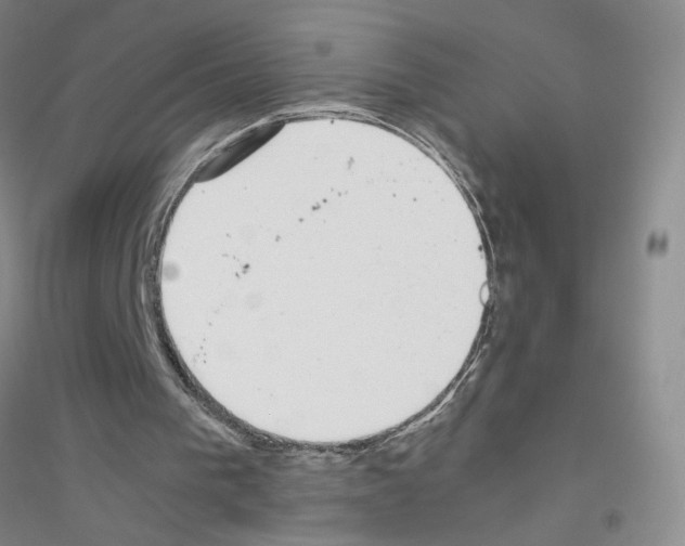 X0000116760193201001281619