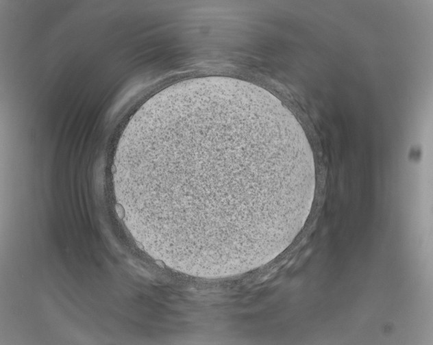 X0000116760194201001281619