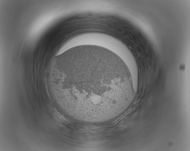 X0000116760195201001281619