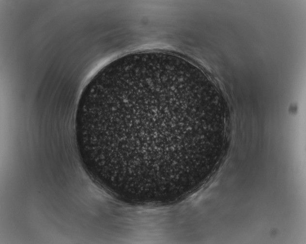 X0000116760196201001281619