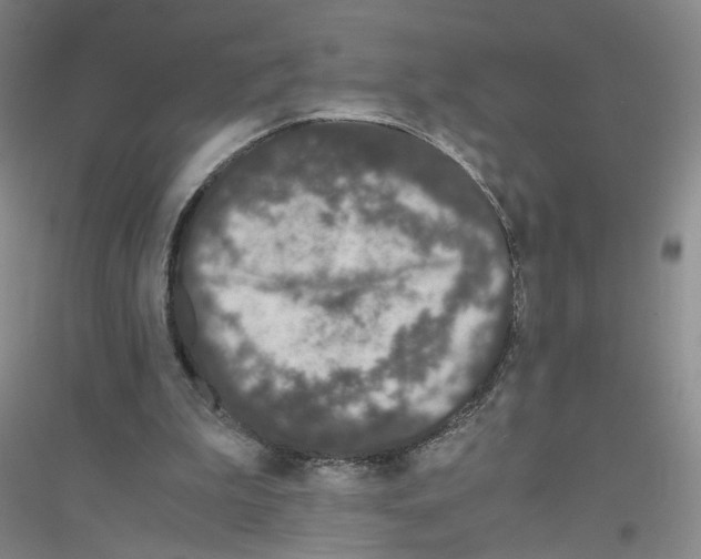 X0000116760199201001281619