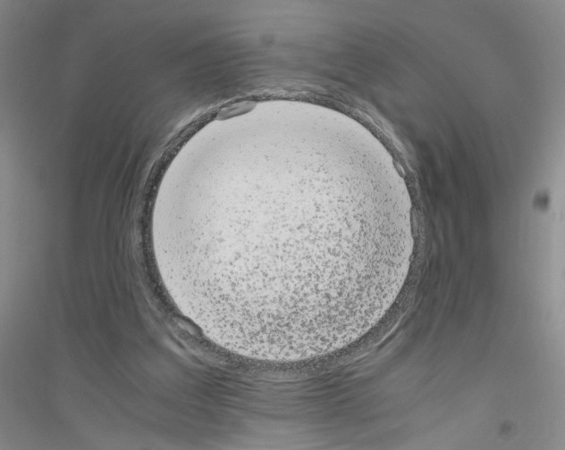 X0000116760203201001281619