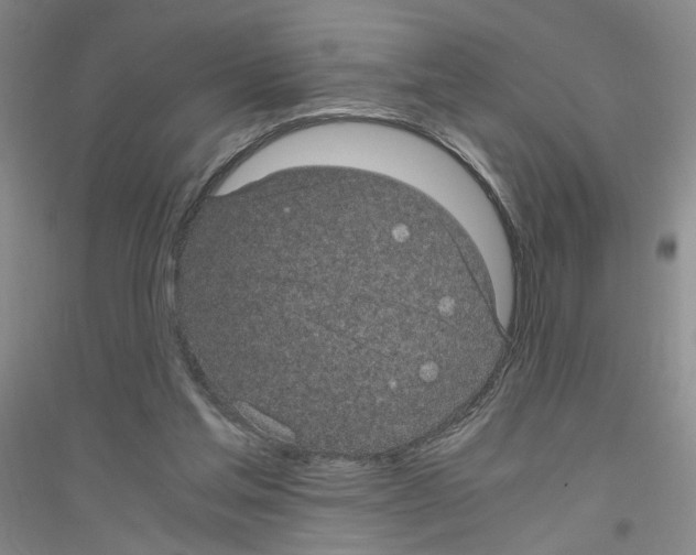 X0000116760205201001281619