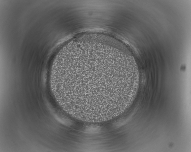 X0000116760206201001281619