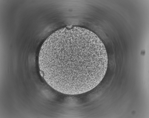 X0000116760207201001281619