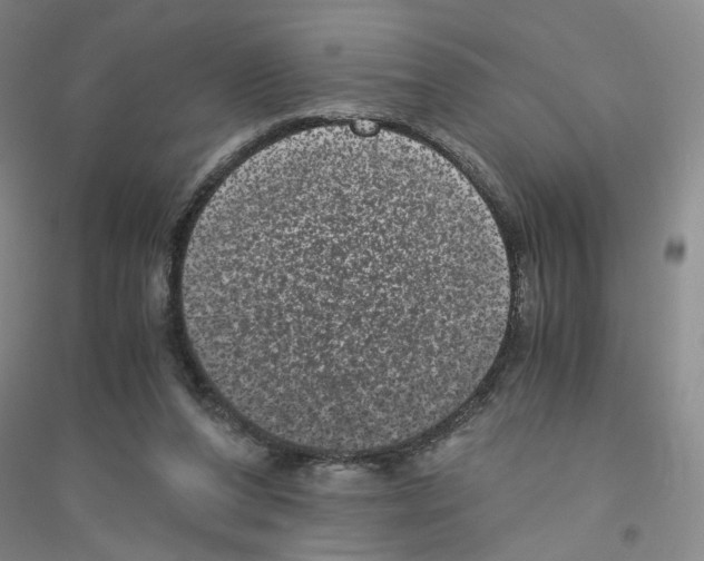 X0000116760208201001281619