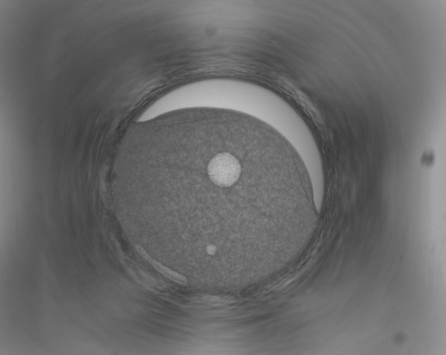 X0000116760209201001281619