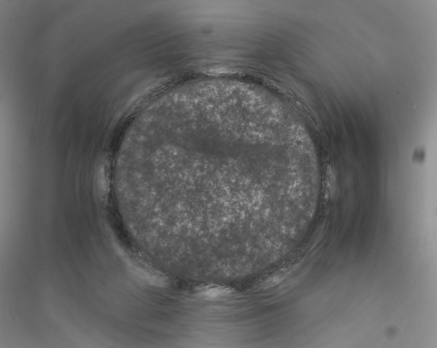 X0000116760210201001281619