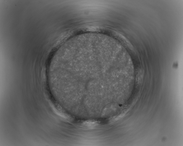 X0000116760213201001281619