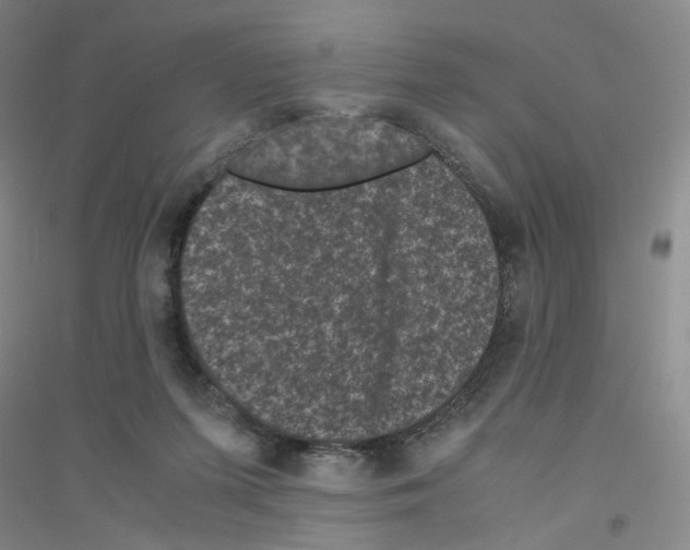 X0000116760215201001281619