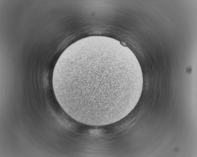 X0000116760216201001281618