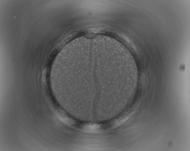 X0000116760217201001281618