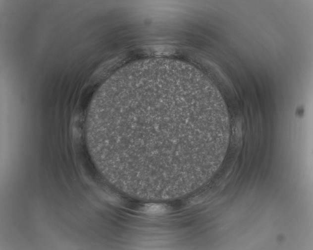 X0000116760218201001281618