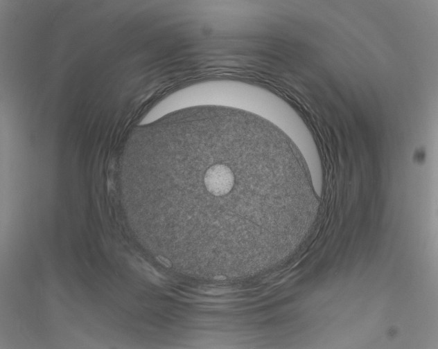 X0000116760219201001281618