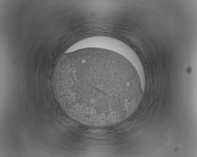 X0000116760221201001281618