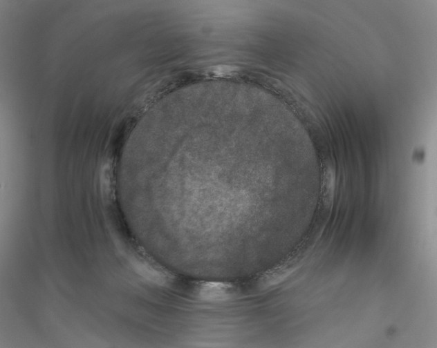 X0000116760222201001281618