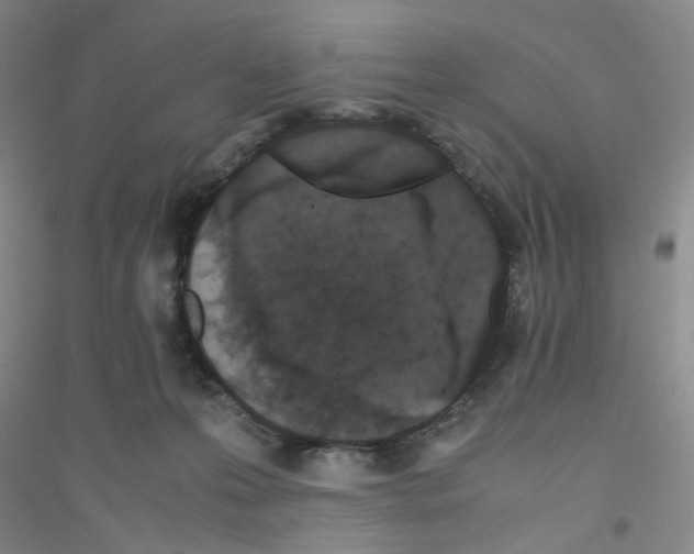 X0000116760223201001281618