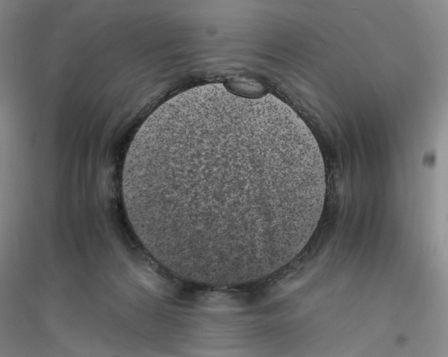 X0000116760224201001281618