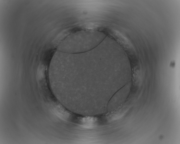 X0000116760225201001281618