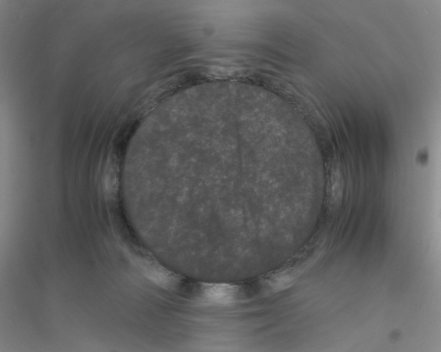 X0000116760226201001281618