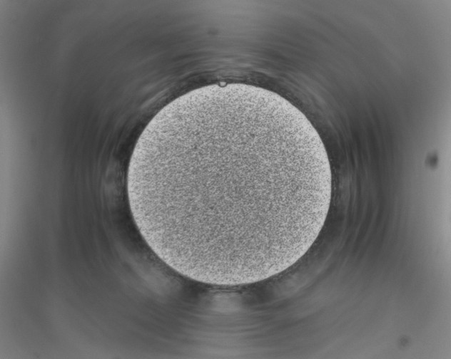 X0000116760228201001281618