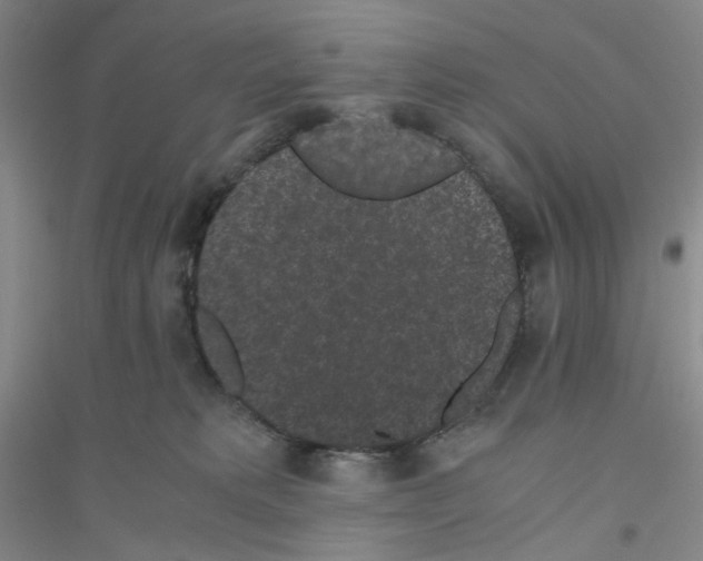 X0000116760229201001281618