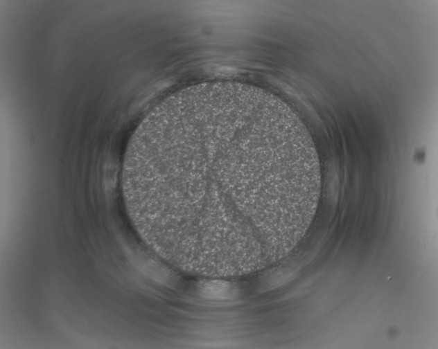 X0000116760230201001281618