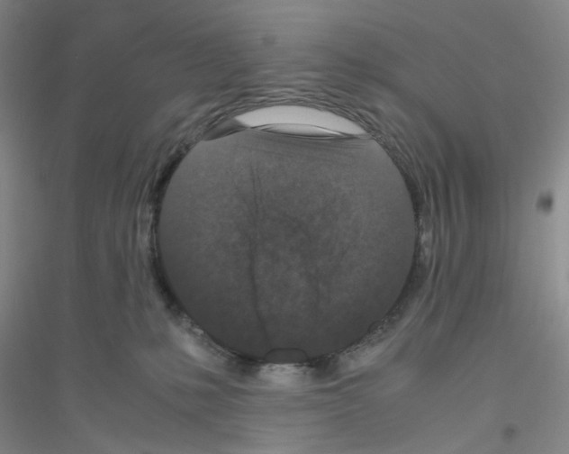 X0000116760231201001281618